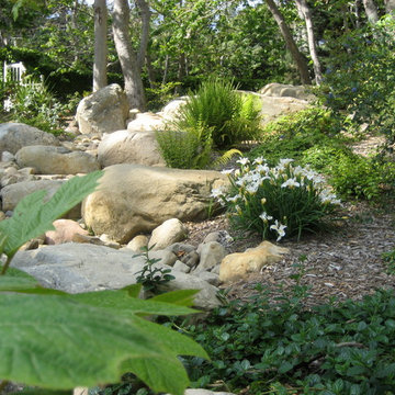 Padaro Lane