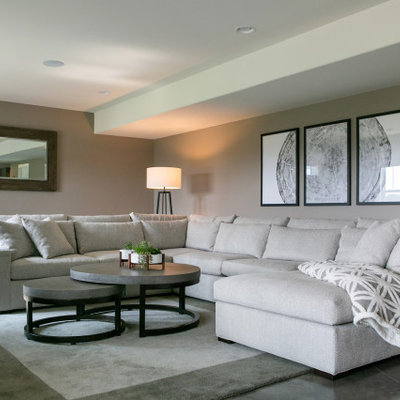 Large trendy walk-out concrete floor and gray floor basement photo in Milwaukee with gray walls