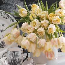 Spring Bulb Wishes