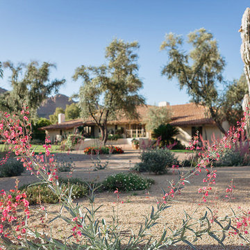 Arroyo Verde