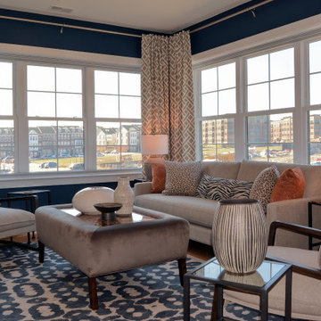 Africa inspired modern living room design