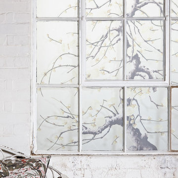 'Plate 406' Window Film - Natural History Museum Collection