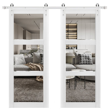 Double Barn Door 72 x 84 With Clear Glass, Lucia 2555 Matte White, Silver 13FT