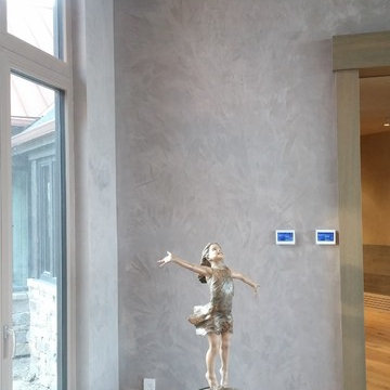 Venetian Plaster Calgary-Artesia Community
