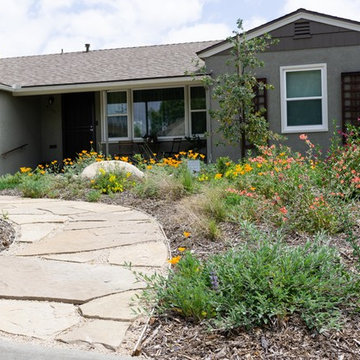 Front Yard Makeover