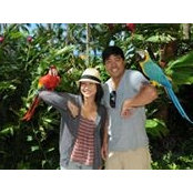 Kelly Pak's photo