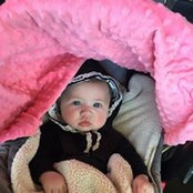 Trisha Beauchesne's photo