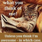 Barbara Foote's photo
