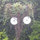 andrew_macpherson95