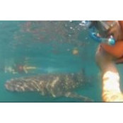 Nick Naczinski's photo