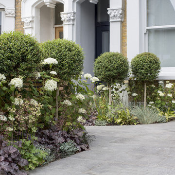 A modern, enclosed front garden driveway