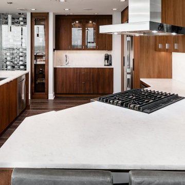 SouthEnd Penthouse