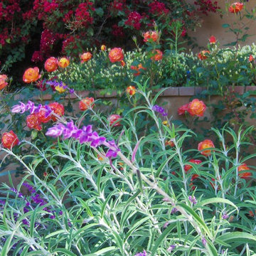Mediterranean Garden