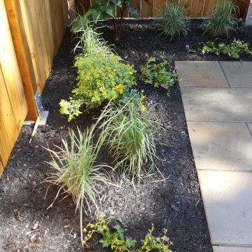 Intimate City Patio Court Garden