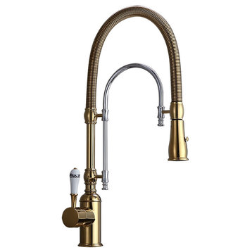 High Arc Swiveling Pull Out Spray Kitchen Faucet with Single Porcelain Handle, G