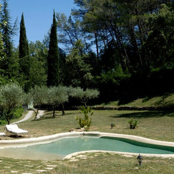 Piscine nature