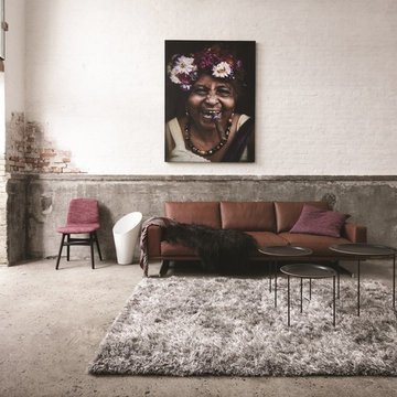 Carlton Sofa Room Set