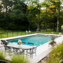 Pool & Fence Landscape