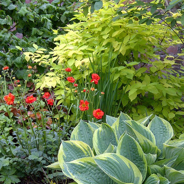 Planting ideas