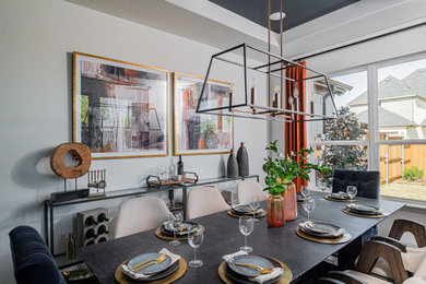 Example of a transitional dining room design in Dallas