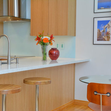 Pleasanton Contemporary Kitchen and Bar Remodel