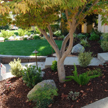Landscape Ideas