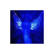 Andrea L'Heureux's photo