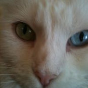 Roberta Edwards's photo
