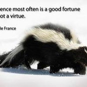 Polyana Wolf's photo