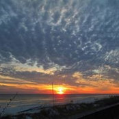 Sharon Weeks's photo