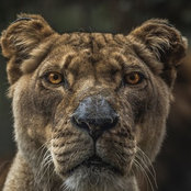 Petros Siamitras's photo
