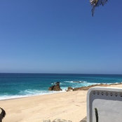 B P's photo