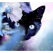 Roseanne Douglas Woerner's photo