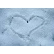 Michele Herron's photo
