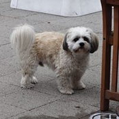Patty Brooks's photo