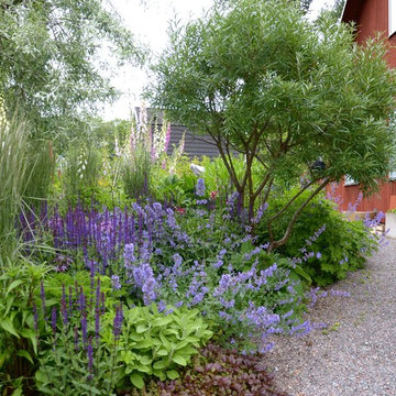 Terrassträdgård