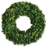 Boxwood 16" Wreath