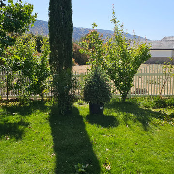 Vinyl Fence