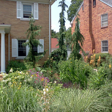 Lansing Sustainable Landscape