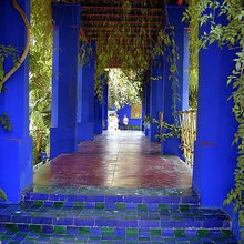 Cobalt and Lime