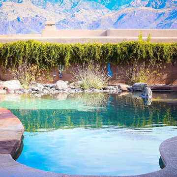 Custom Pools, Stream, Water Feature