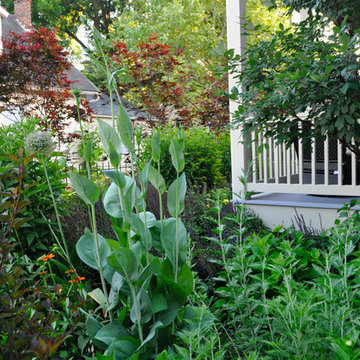 Urban Prairie- German Village