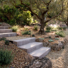 Backyard Ideas