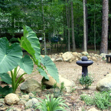 A Carolina Woodland Garden in the Piedmont