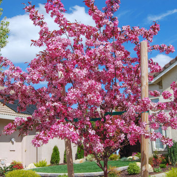 Premier Landscape Design
