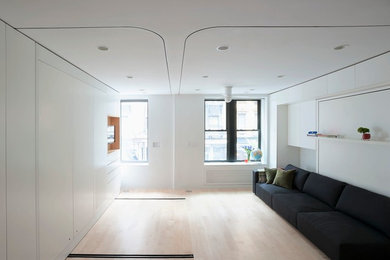 Example of a minimalist living room design in New York
