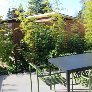 Vancouver Villa - backyard