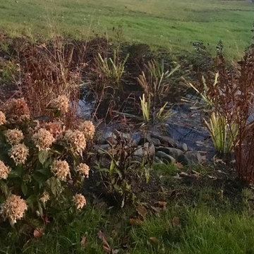Pollinator and Rain Gardens