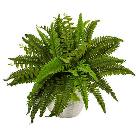 Boston Fern, White Planter