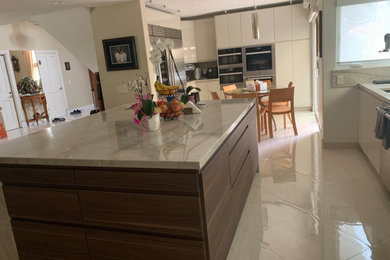 Example of a minimalist kitchen design in Orange County